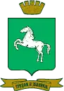 Логотип МО «Город Томск»